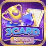 3Card Bingo Game