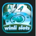Winli Slots Game
