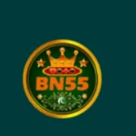 BN55 Game