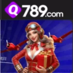 Q789 Game