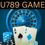 U789 Game